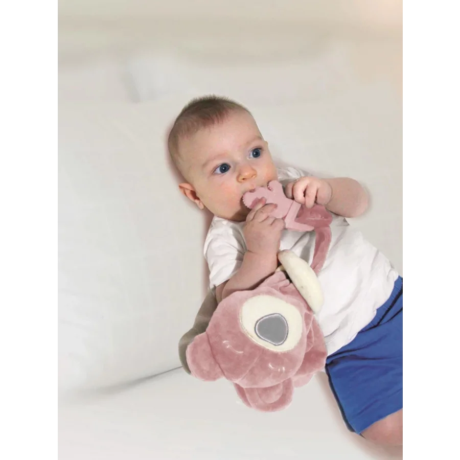 Babyjem Diş Kaşıyıcılı Uyku Arkadaşım Gül Kurusu