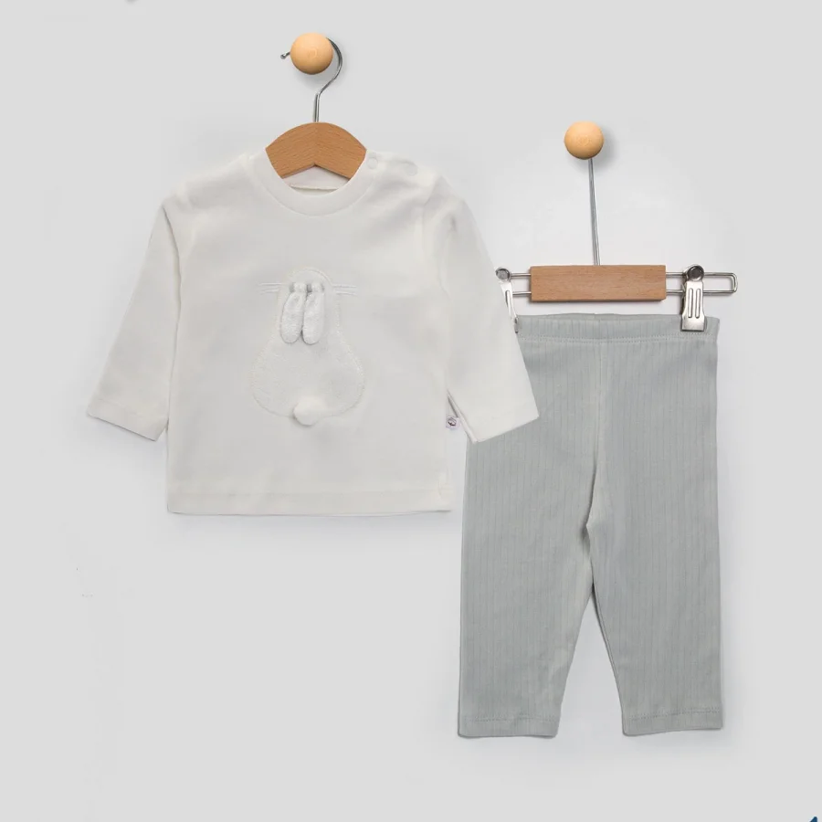 Begisa Raporlu Tavşan 2li Bebek Takım - Gri