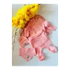 Begi Kendinden Eldivenli Natural Bebek Hastane Çıkışı Bebek Takımı Pembe - 0-3 AY