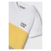 Mayoral Erkek Çocuk T-shirt 2li 03030-061
