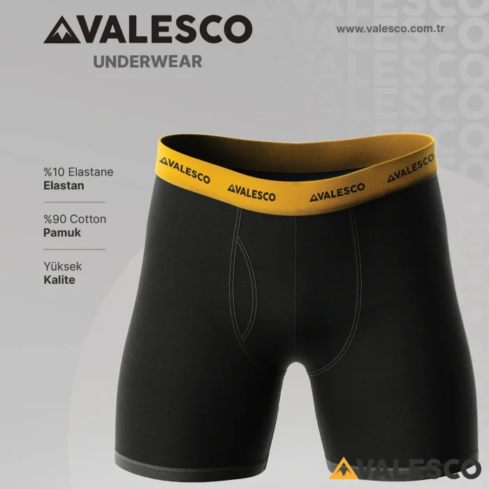 VALESCO ERKEK BOXER