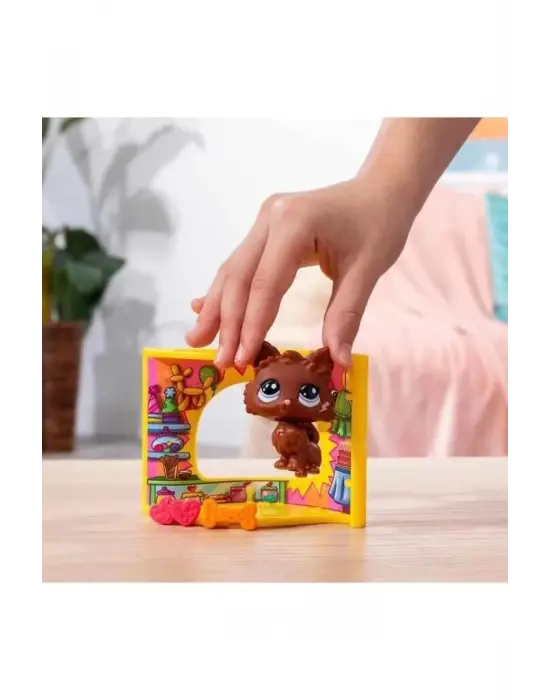 Omarı Sevimli Evcil Hayvan Oyun Alanı Aksesuarı