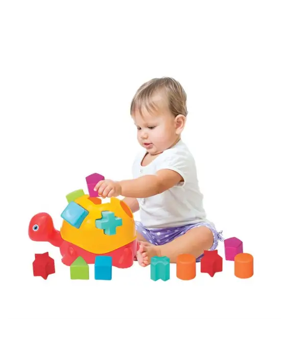 Omarı Rengarenk Kaplumbağa Bultak