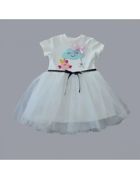 Zarif Nakışlı Kız Bebek Elbisesi