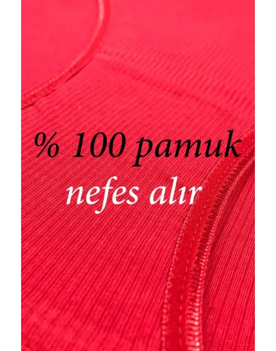 12 Adet Fitilli Pamuklu Kadın Kaşkorse Bikini Külot