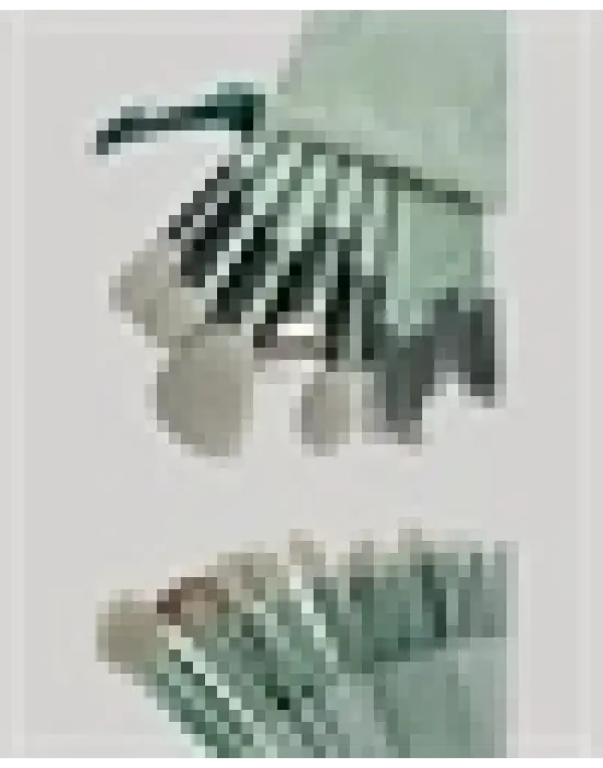 13lü Fiber Kıllı Yumuşak Makyaj Fırçası Seti Taşınabilir Ve Ergonomik Tasarım