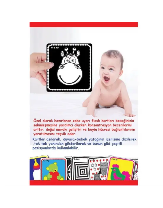 1369 F.CARDS BEBEĞİMİN İLK ZEKA KARTLARI