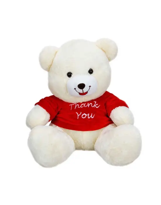 1506 T-Shirtlü Oturan Peluş Ayı 60 cm -Sunman