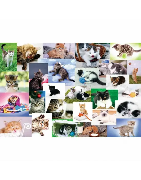Omarı Interaktif Kedi Temalı 60 Parça Puzzle Oyunu