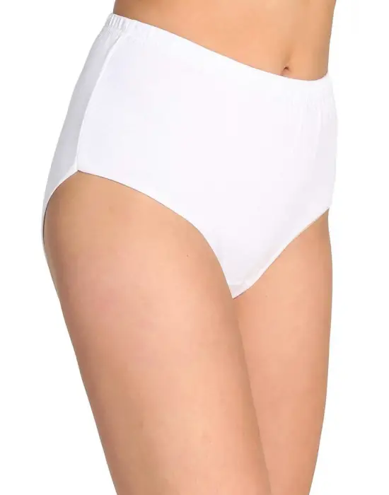 2 Adet Tutku Kadın Yüksek Bel   Kalın Lastik Külot S4