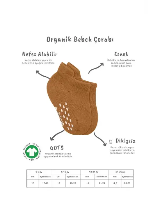 Omarı Renkli Kaymaz Sneakers Penye Çorap Seti