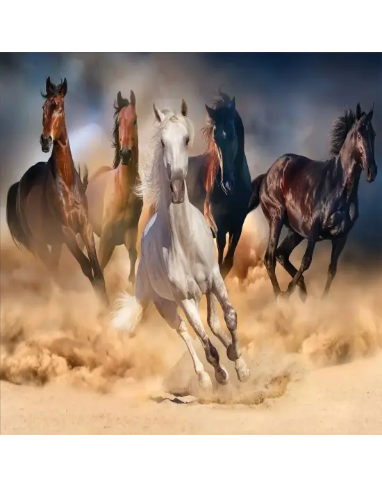 20769 PUZZLE 1000 WİLD HORSES