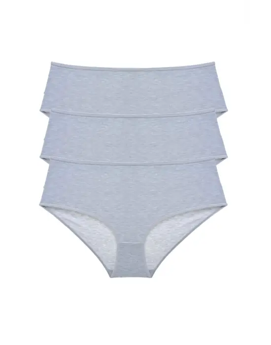 3 Adet Kadın Yüksek Bel   Külot Gri