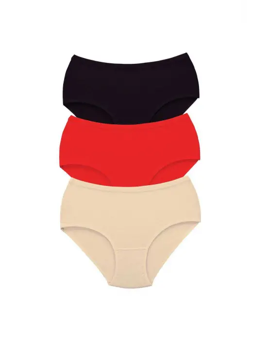 3 Adet Tutku Kadın Yüksek Bel   Kalın Lastik Külot S1