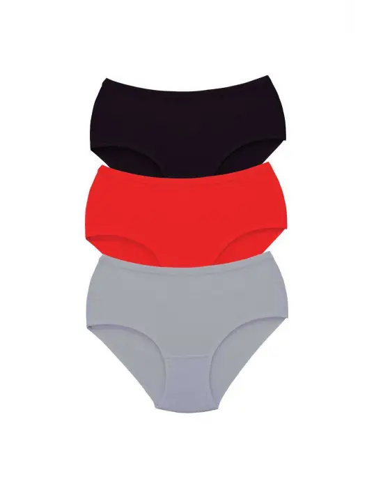 3 Adet Tutku Kadın Yüksek Bel   Kalın Lastik Külot S2