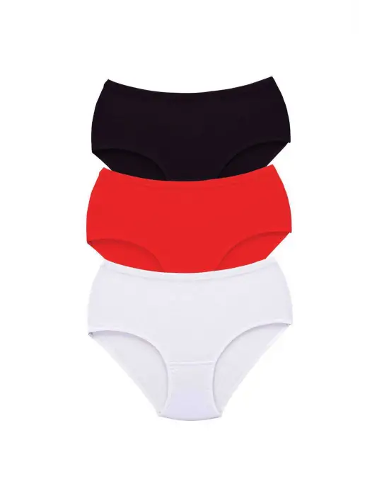 3 Adet Tutku Kadın Yüksek Bel   Kalın Lastik Külot S3