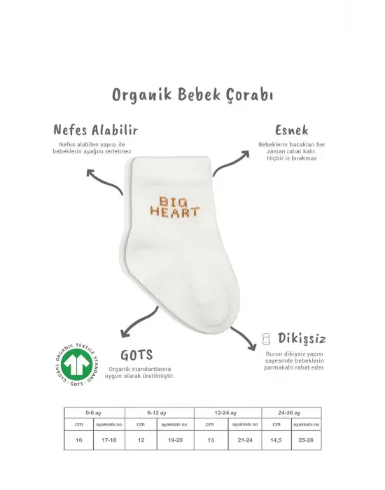 Omarı 3lü Renkli Penye Çorap Seti