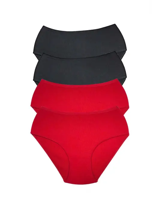 4 Adet Kadın Yüksek Bel Ribana   Külot S013