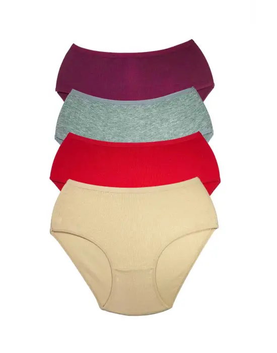 4 Adet Kadın Yüksek Bel Ribana   Külot S102