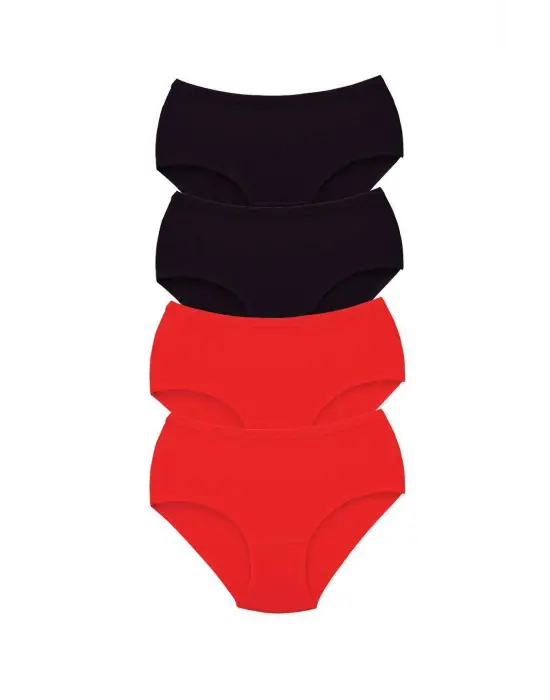 4 Adet Tutku Kadın Yüksek Bel   Kalın Lastik Külot S1