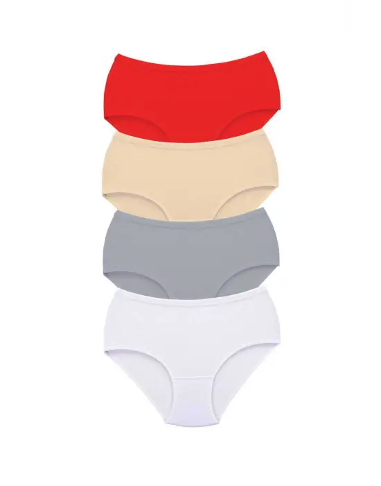 4 Adet Tutku Kadın Yüksek Bel   Kalın Lastik Külot S13