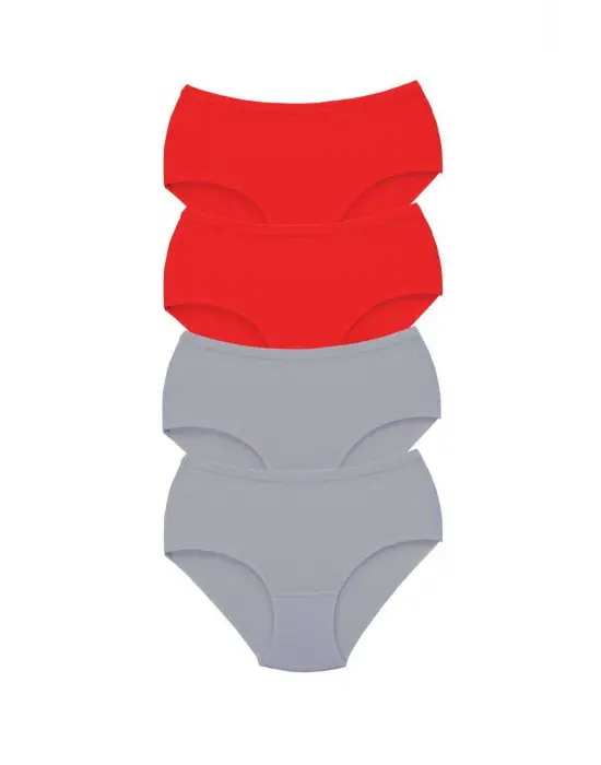 4 Adet Tutku Kadın Yüksek Bel   Kalın Lastik Külot S6