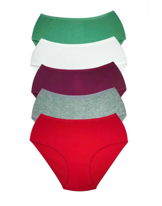 5 Adet Kadın Yüksek Bel Ribana   Külot S044