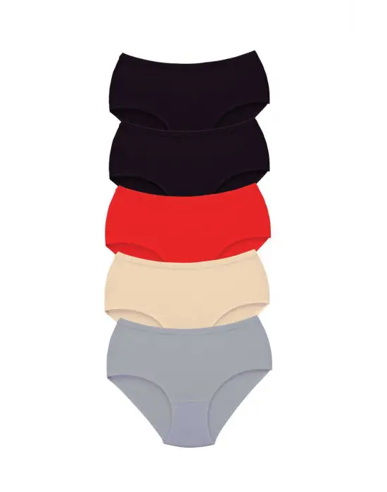 5 Adet Tutku Kadın Yüksek Bel   Kalın Lastik Külot S12