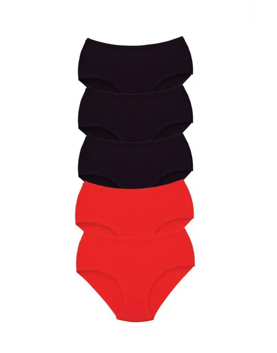 5 Adet Tutku Kadın Yüksek Bel   Kalın Lastik Külot S2