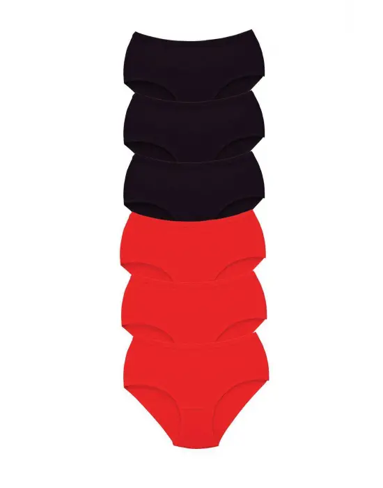 6 Adet Tutku Kadın Yüksek Bel   Kalın Lastik Külot S1