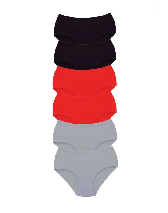 6 Adet Tutku Kadın Yüksek Bel   Kalın Lastik Külot S12