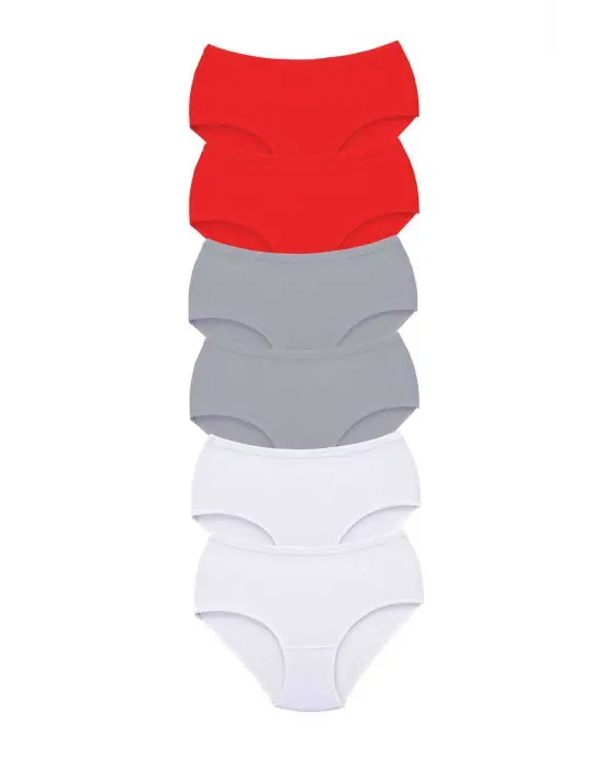 6 Adet Tutku Kadın Yüksek Bel   Kalın Lastik Külot S19