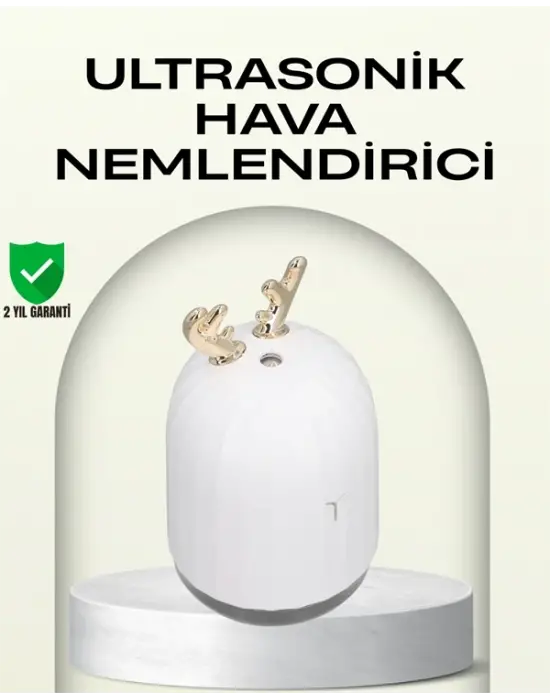 Abs+pp Malzemeli Taşınabilir 220 ml Usb Mist Nemlendirici