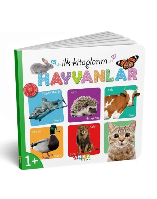 7202 İLK KİTAPLARIM 6LI SET