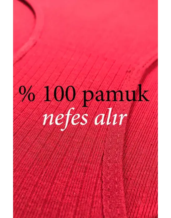 8 Adet Kadın Yüksek Bel Ribana   Külot S009