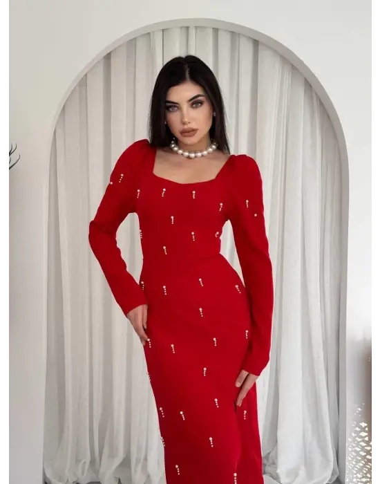 Omarı Şık İnci Detaylı Elbise