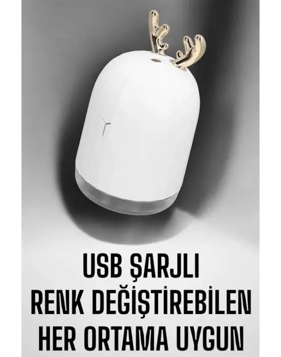 Aromaterapi Hava Temizleyici Buhar Makinesi Taşınabilir Şarjlı