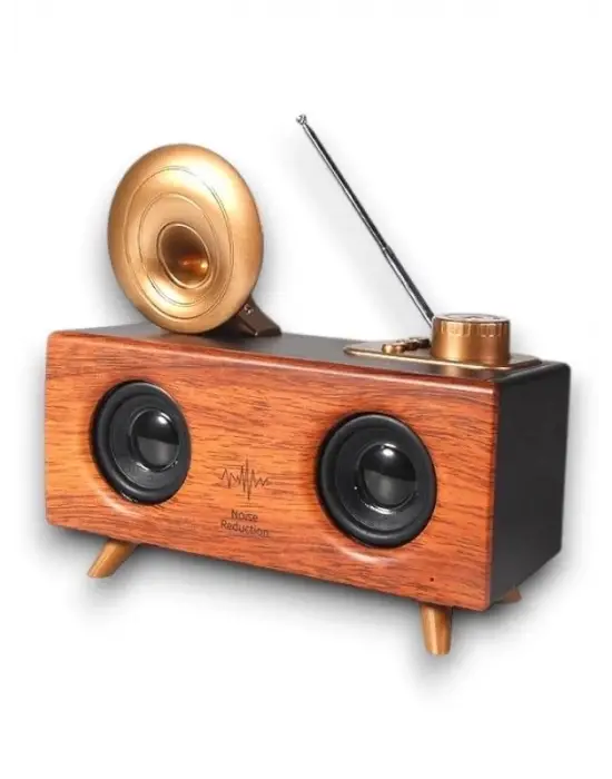 B6 Speaker Hoparlör