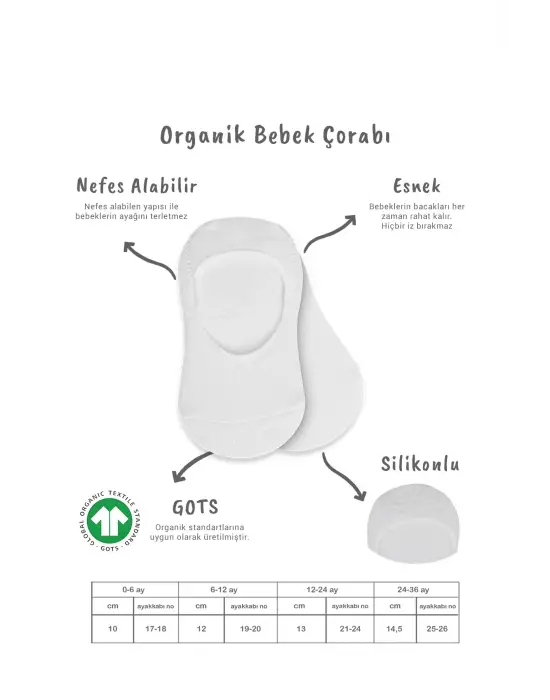 Bistyle 2li Penye Babet Silikonlu Basic Çorap 30104 Gri Beyaz
