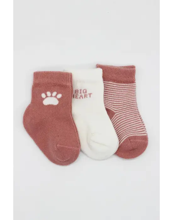 Omarı Penye Soket Çorap Seti - Pudra Renkli