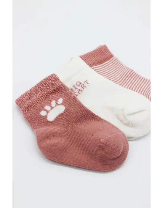 Omarı Penye Soket Çorap Seti - Pudra Renkli