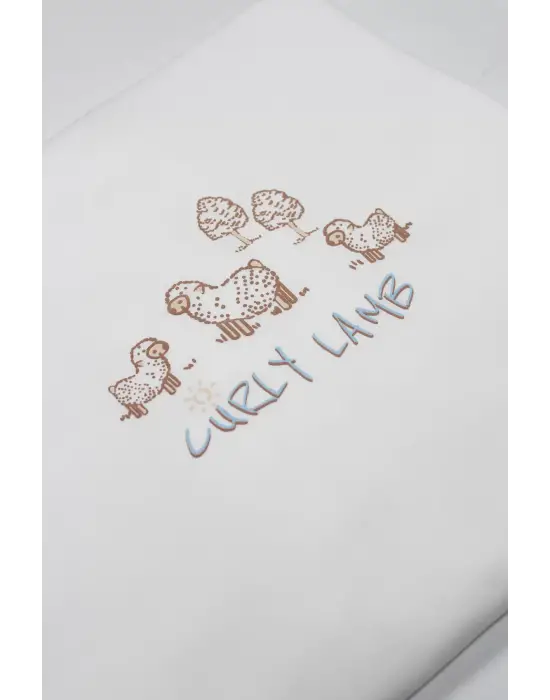 Bistyle Curly Lamb 10lu Hastane Çıkışı 11106 Bej Mavi Ekru