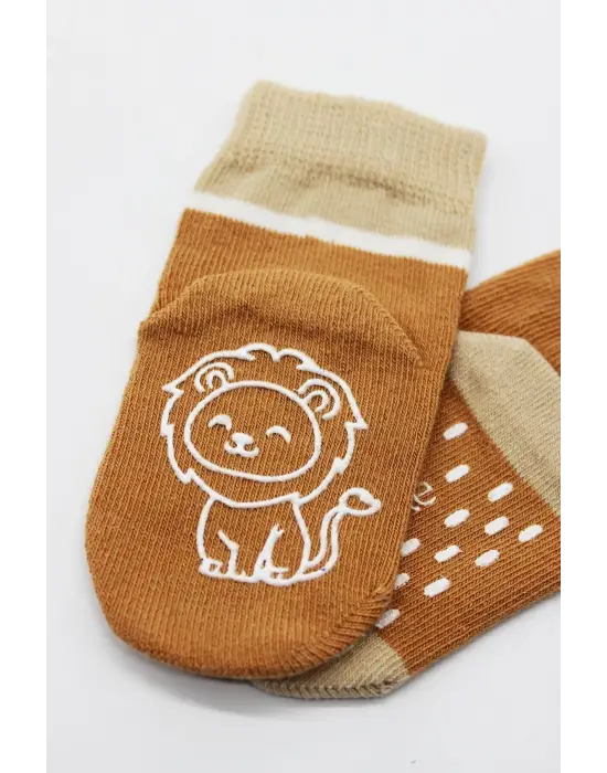 Omarı Hayvan Figürlü Kaymaz Erkek Soket Çorap Seti