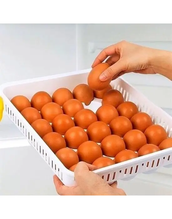 Omarı Yumurta Saklama Kabı Seti