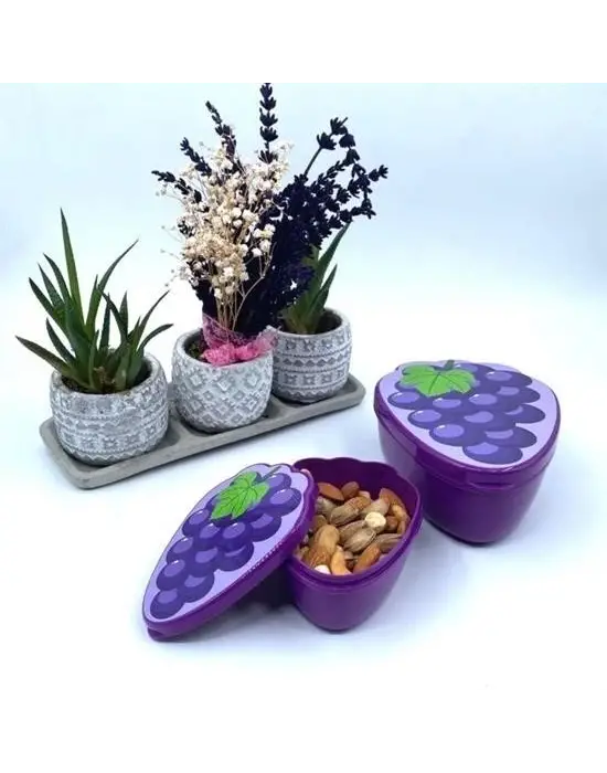 Omarı İç İçe Geçebilen Üzüm Model Saklama Kabı Seti