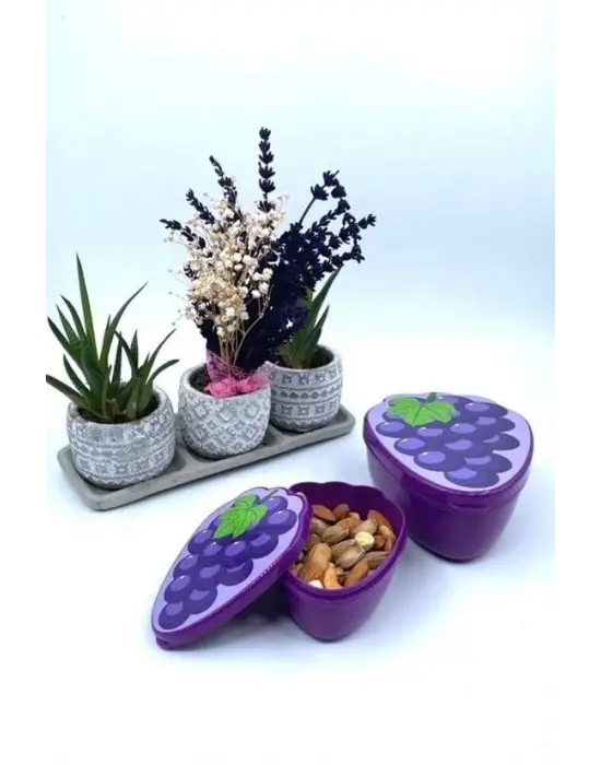 Omarı İç İçe Geçebilen Üzüm Model Saklama Kabı Seti