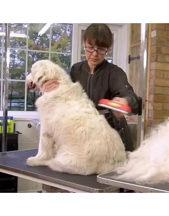 Omarı Uzun Tüyler İçin Profesyonel Tüy Toplayıcı Tarak