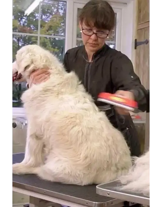 Omarı Uzun Tüyler İçin Profesyonel Tüy Toplayıcı Tarak