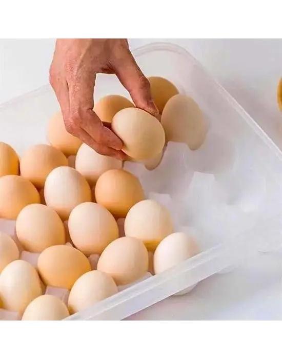 Omarı Yumurta Saklama Kabı Seti - Pratik ve Hijyenik Çözüm