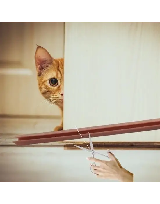 Omarı Kapı Toz Rüzgar Önleyici Isı Yalıtımı Sağlayan Sızdırmaz Strafor Seti